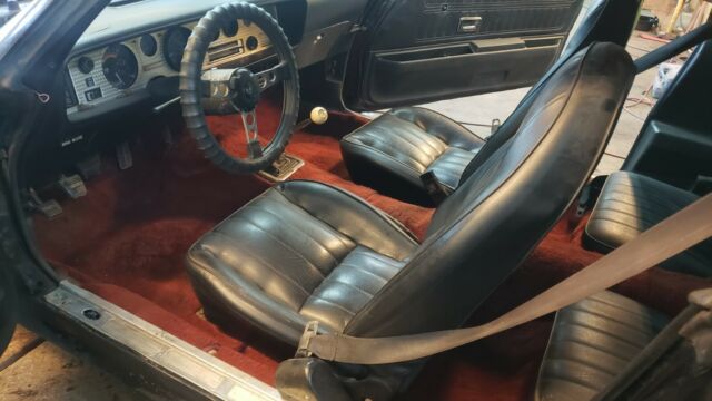 Pontiac Trans Am 1976 image number 9