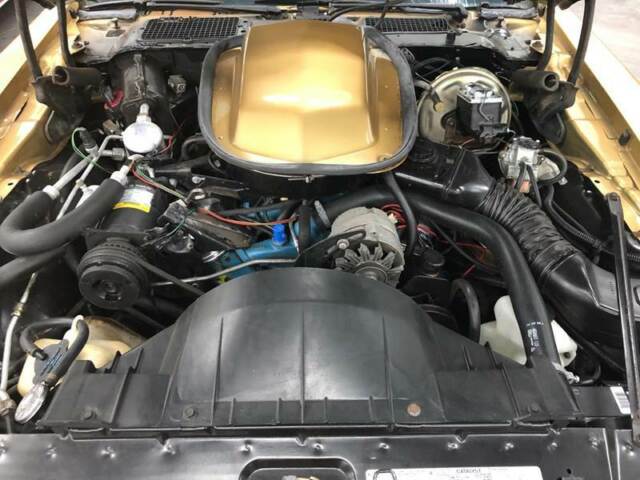Pontiac Trans Am 1978 image number 16
