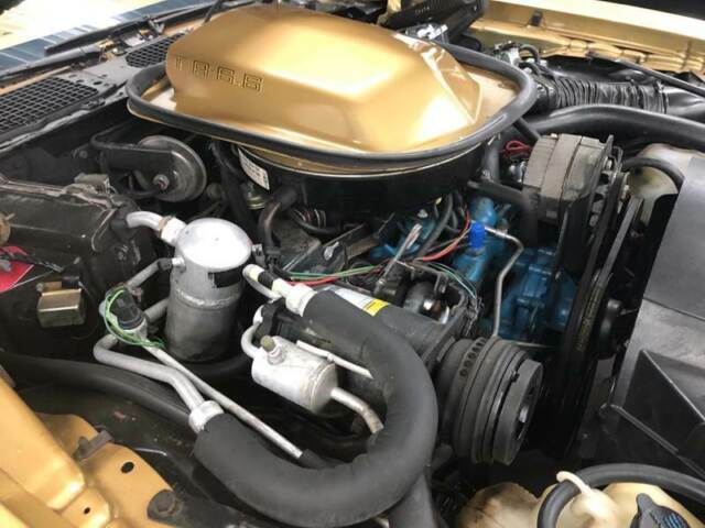 Pontiac Trans Am 1978 image number 18