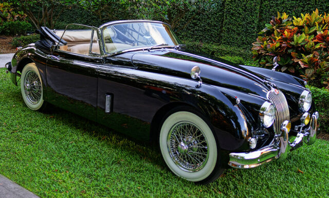Jaguar XK 1959 image number 12