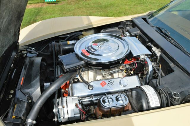 Chevrolet Corvette 1976 image number 23