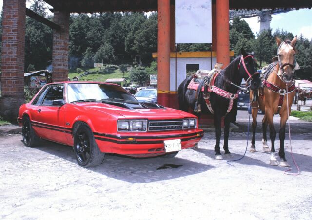 Ford Mustang 1979 image number 7