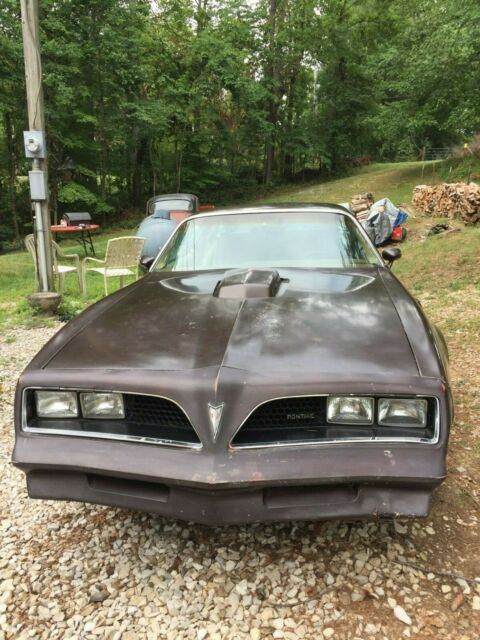 Pontiac Trans Am 1977 image number 3