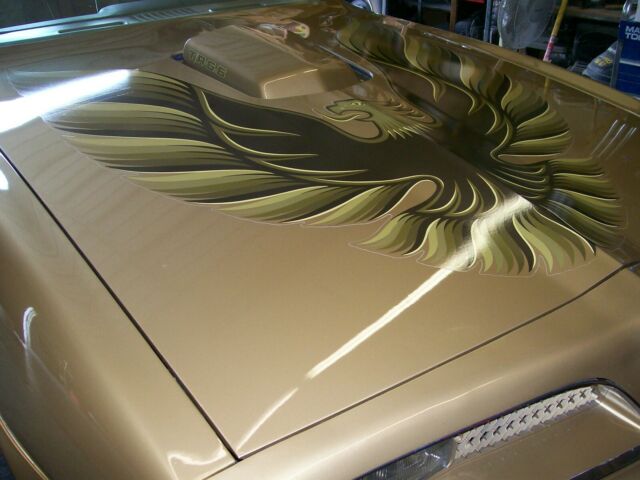 Pontiac Trans Am 1978 image number 46