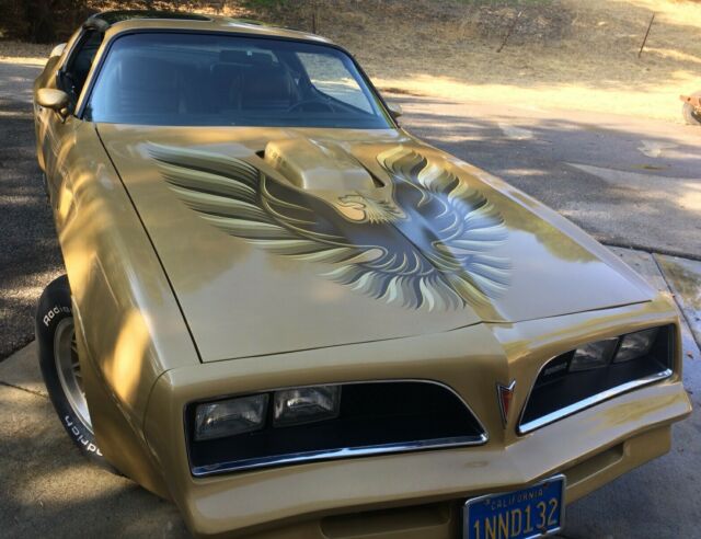 Pontiac Trans Am 1978 image number 1