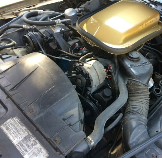 Pontiac Trans Am 1978 image number 3