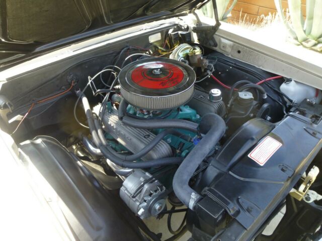 Buick Skylark 1965 image number 12
