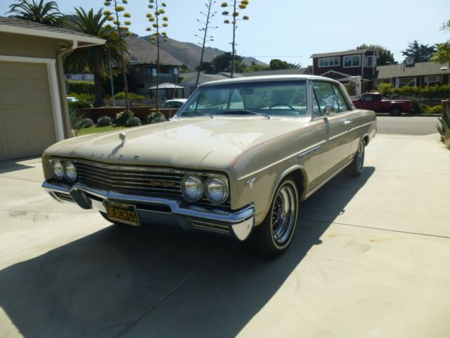 Buick Skylark 1965 image number 20
