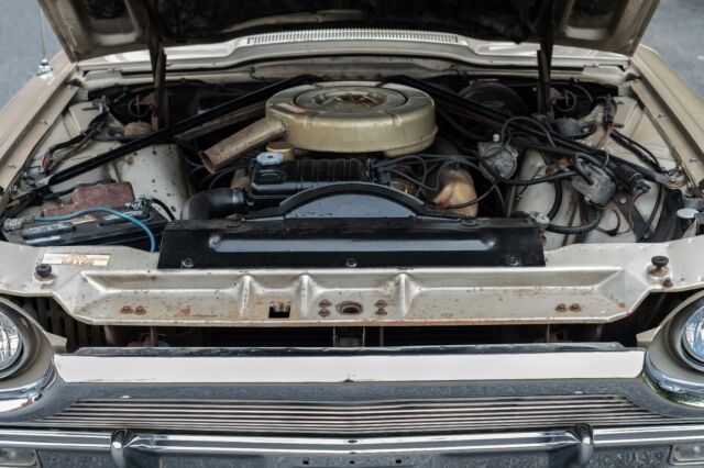 Ford Thunderbird 1964 image number 16