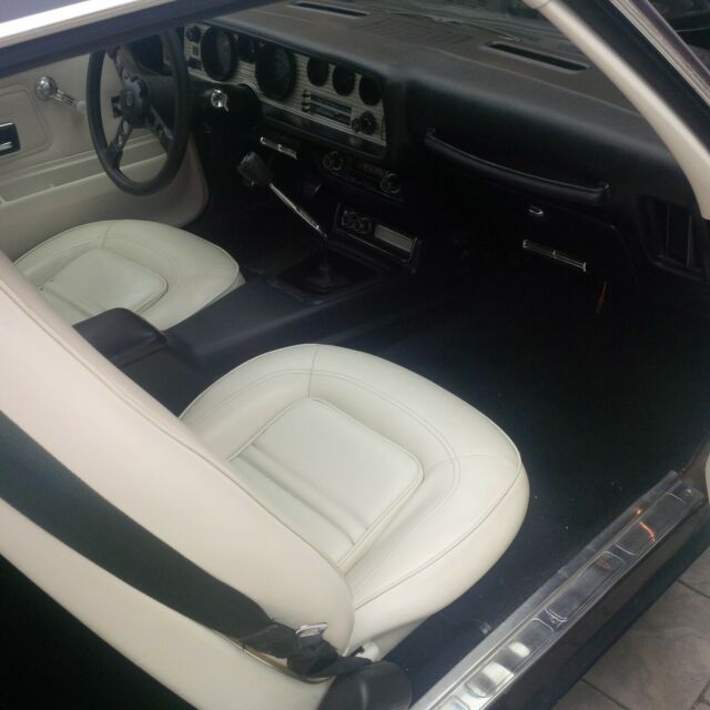 Pontiac Trans Am 1975 image number 17