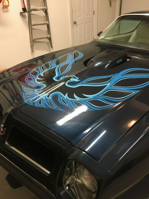 Pontiac Trans Am 1975 image number 21