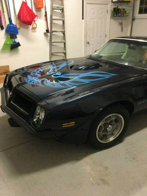 Pontiac Trans Am 1975 image number 22
