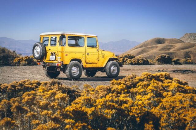 Toyota Land Cruiser 1975 image number 12