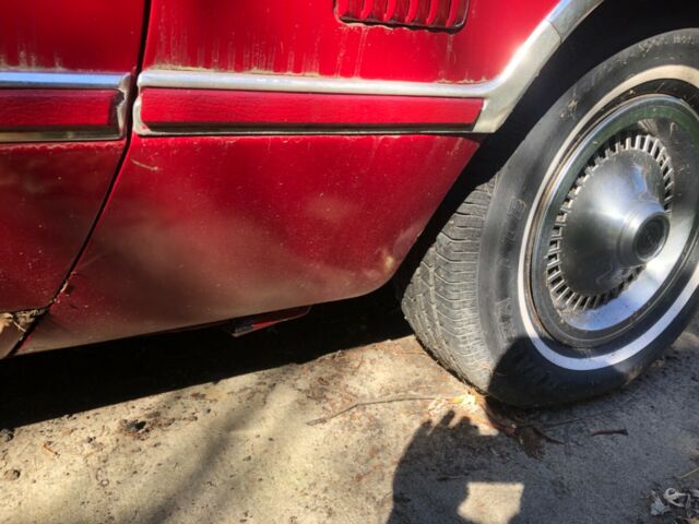 Ford Thunderbird 1977 image number 15