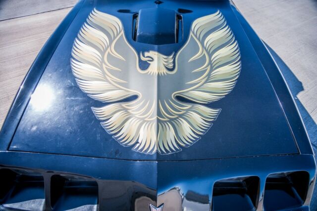 Pontiac Trans Am 1979 image number 10
