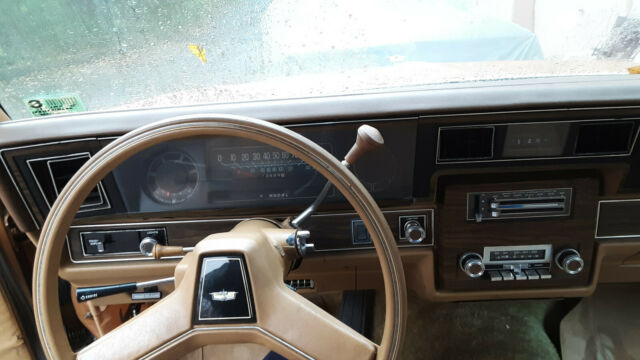 Chevrolet Caprice 1978 image number 13