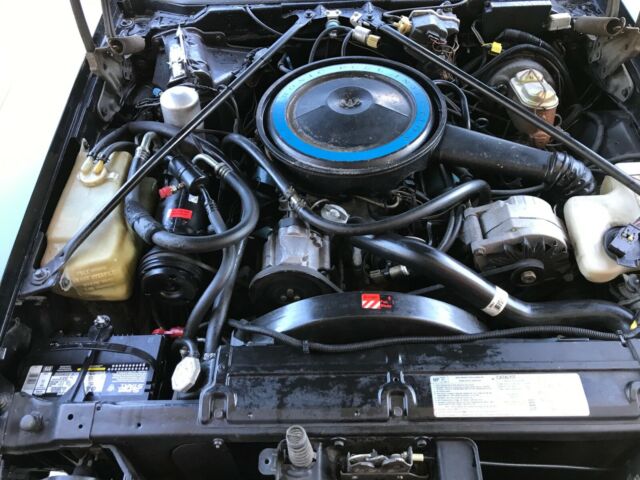 Cadillac Seville 1979 image number 23