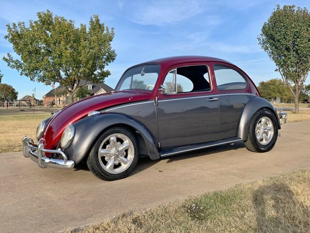 Volkswagen Beetle - Classic 1965 image number 0