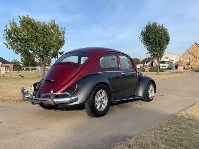 Volkswagen Beetle - Classic 1965 image number 1