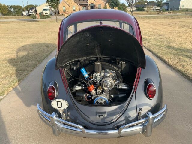 Volkswagen Beetle - Classic 1965 image number 24