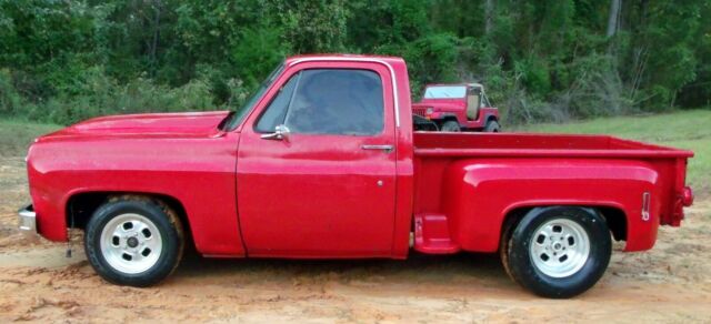 Chevrolet C-10 1979 image number 27