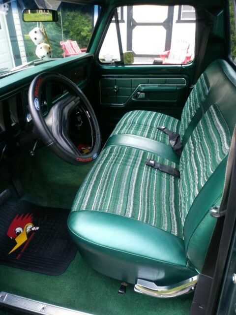 Ford F-150 1979 image number 6