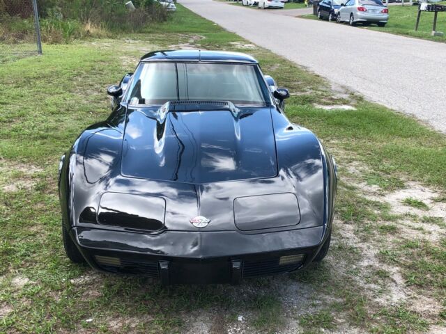 Chevrolet Corvette 1978 image number 11