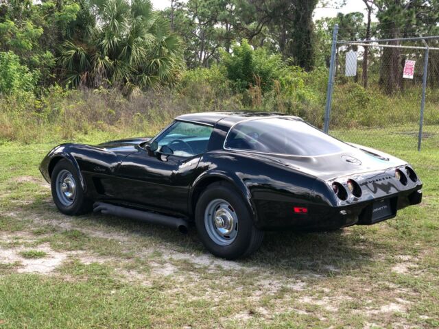 Chevrolet Corvette 1978 image number 8