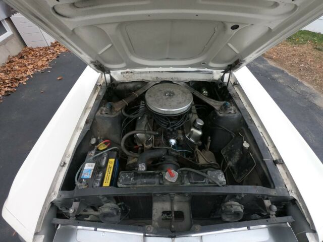 Ford Mustang 1967 image number 30
