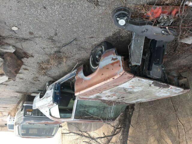Dodge Charger 1967 image number 0