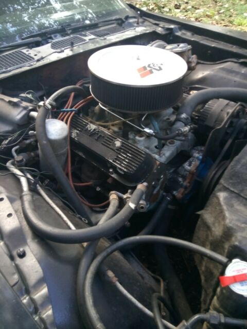 Pontiac Trans Am 1978 image number 1