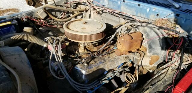 Ford F-250 1979 image number 4