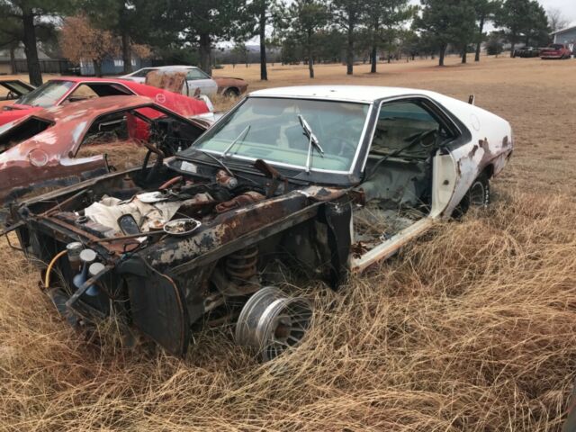 AMC AMX 1970 image number 0