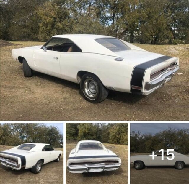 Dodge Charger 1970 image number 15