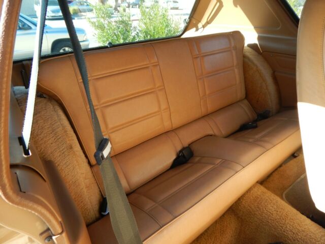 AMC Gremlin 1977 image number 18