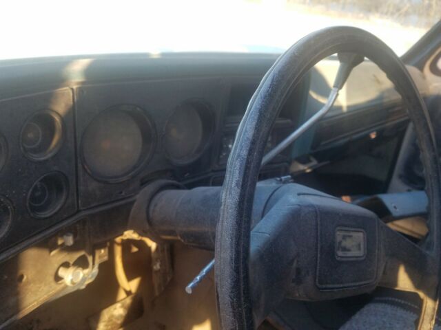 Chevrolet C-10 1978 image number 24