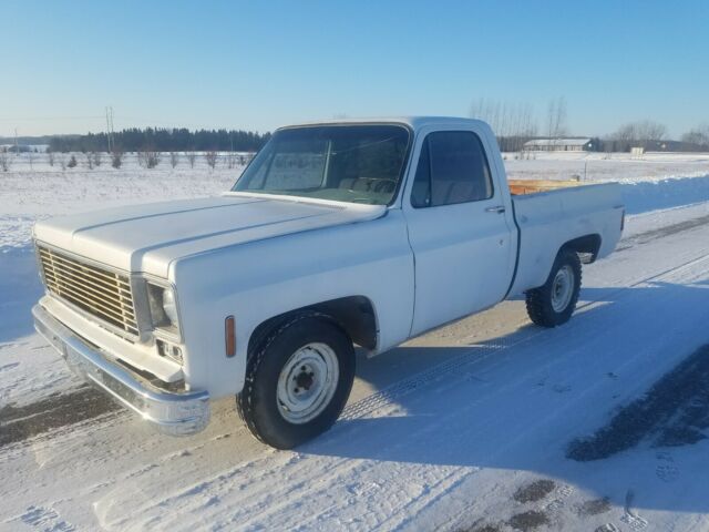 Chevrolet C-10 1978 image number 4