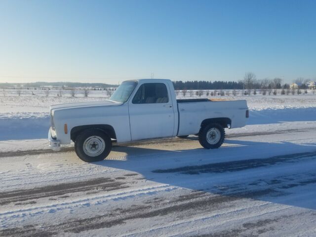 Chevrolet C-10 1978 image number 5