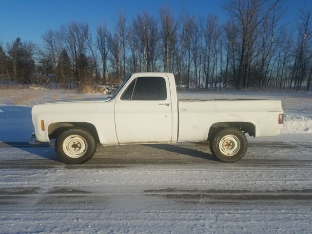 Chevrolet C-10 1978 image number 6