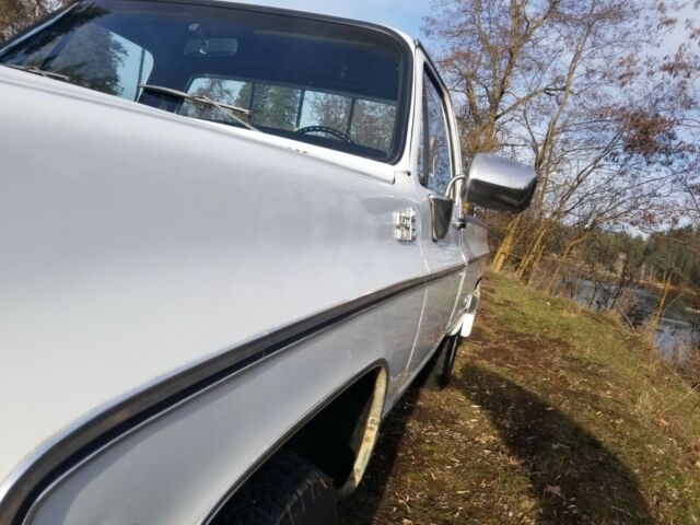Chevrolet C/K Pickup 1500 1976 image number 6