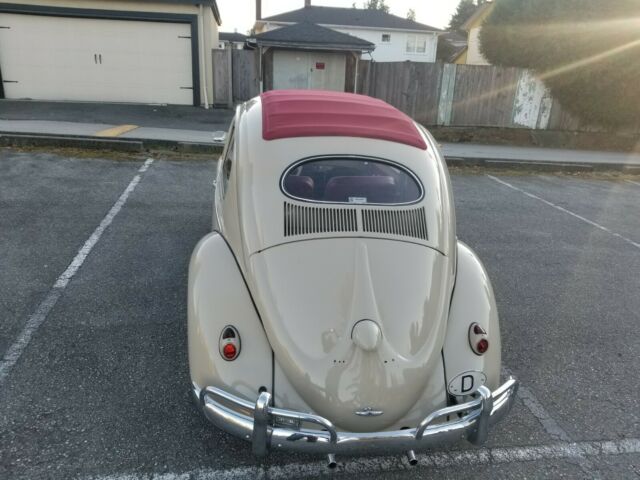 Volkswagen Beetle - Classic 1955 image number 11