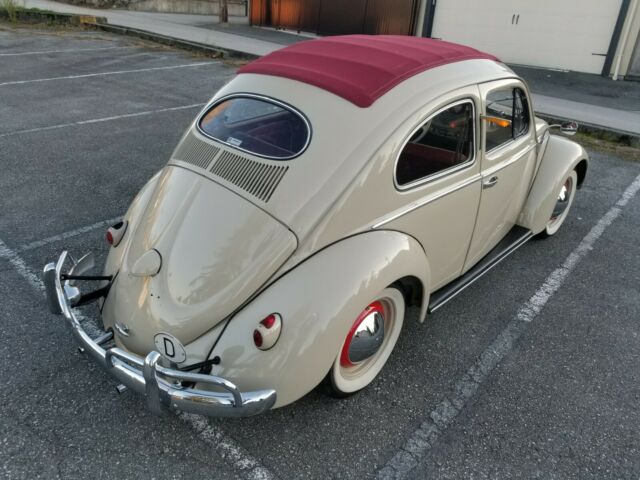 Volkswagen Beetle - Classic 1955 image number 12