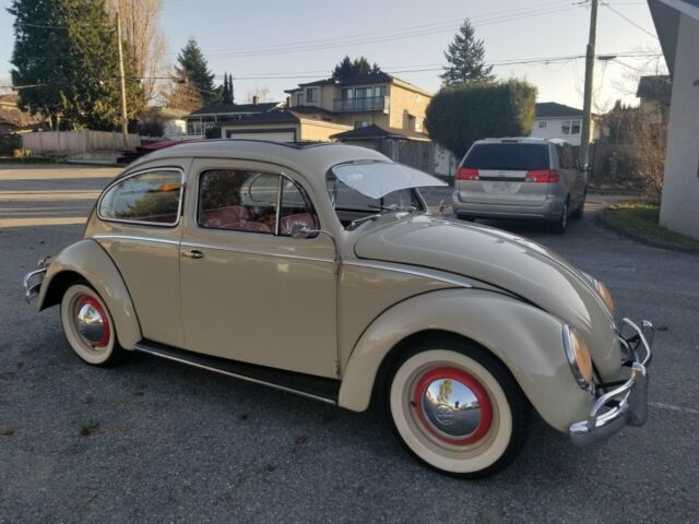 Volkswagen Beetle - Classic 1955 image number 2
