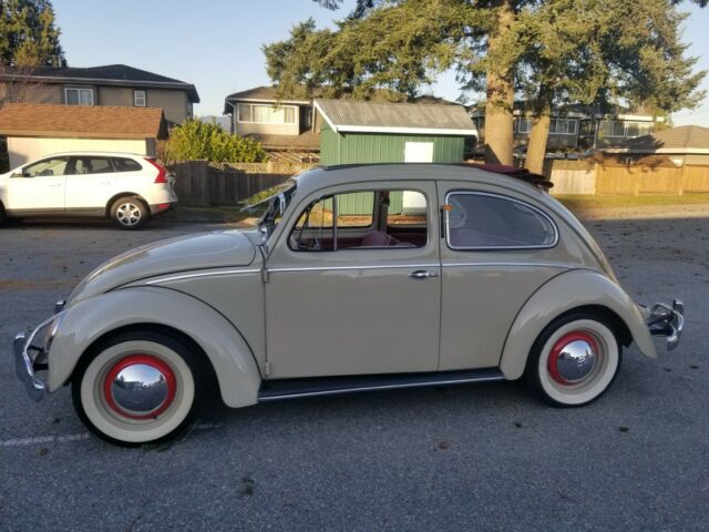 Volkswagen Beetle - Classic 1955 image number 23