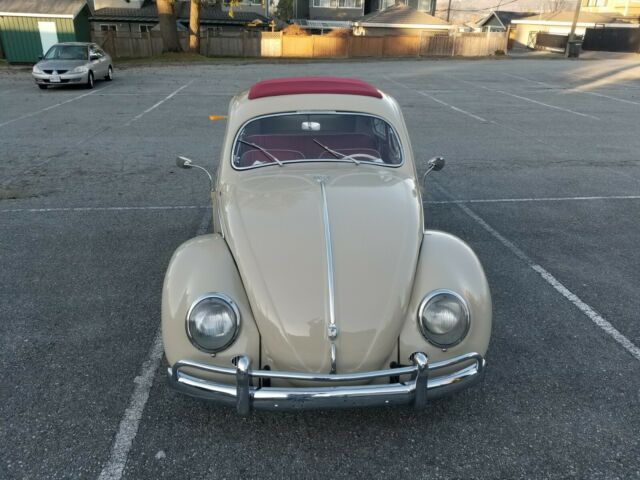 Volkswagen Beetle - Classic 1955 image number 37