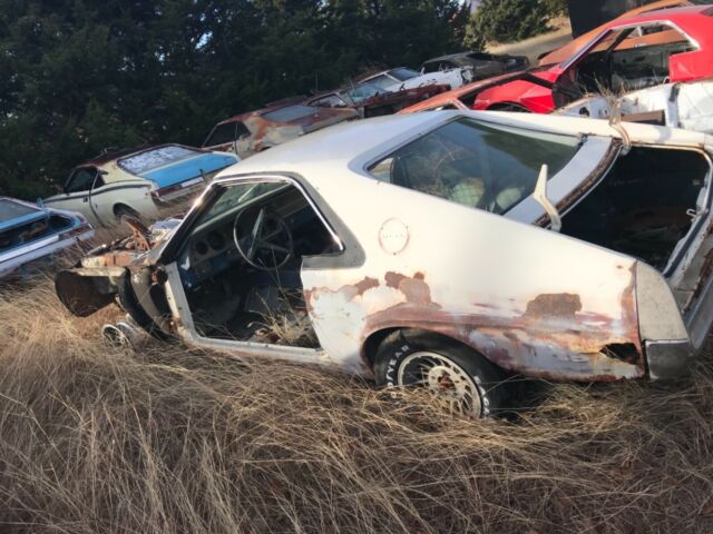 AMC AMX 1970 image number 1