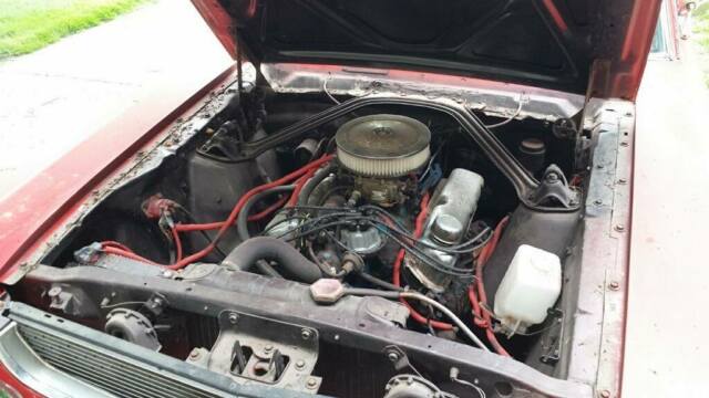 Ford Mustang 1966 image number 2