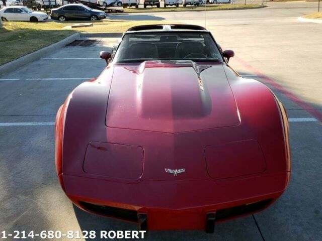 Chevrolet Corvette 1979 image number 46