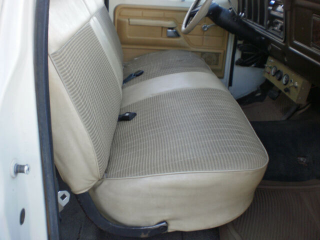 Ford F-250 1979 image number 18