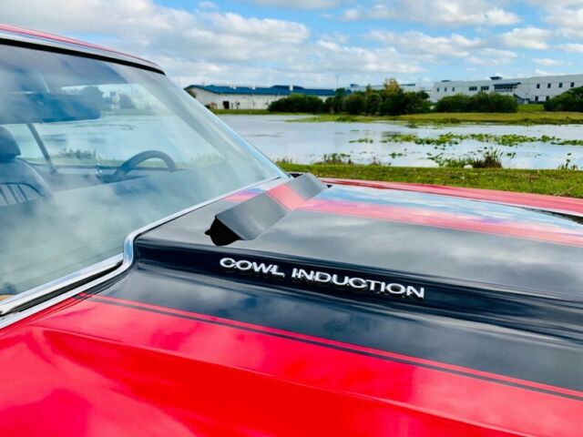 Chevrolet Chevelle 1972 image number 12